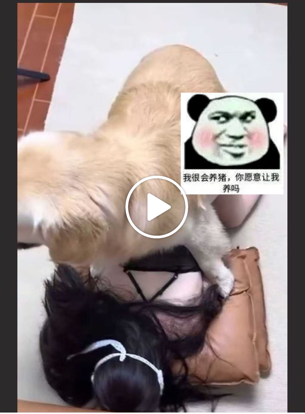 微信图片_20240628175620.png